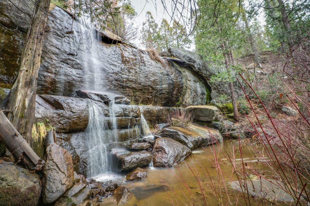 Forest Falls Shaver Lake Zewnętrze zdjęcie